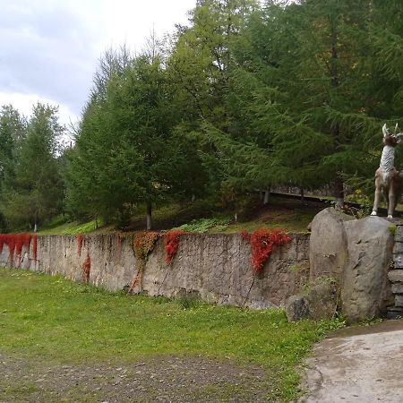 Садиба Федорчуків Гірська Хатина Şeşorî Exterior foto