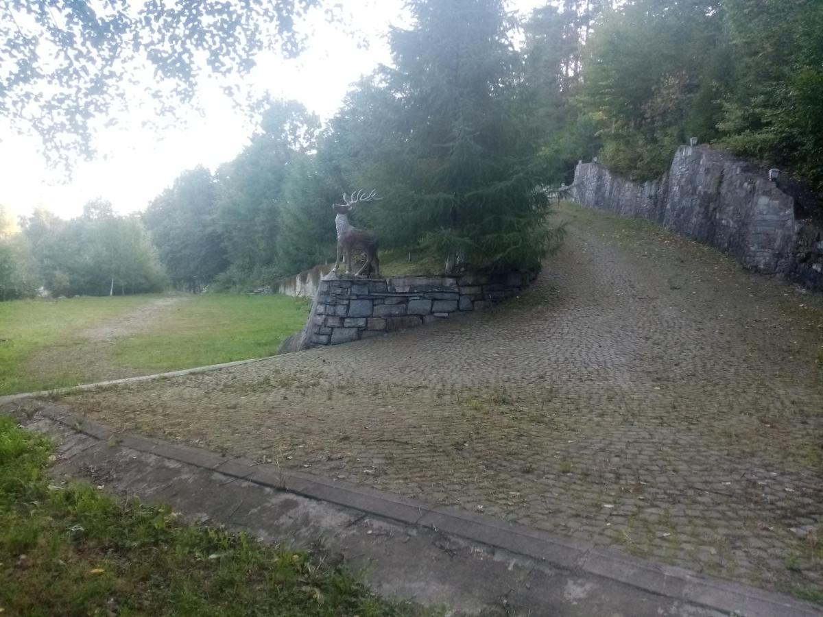 Садиба Федорчуків Гірська Хатина Şeşorî Exterior foto