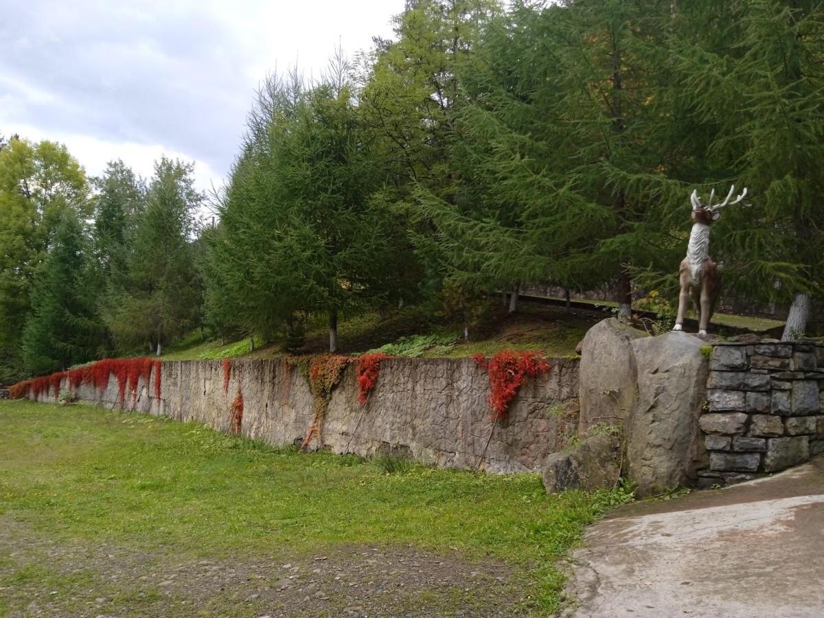 Садиба Федорчуків Гірська Хатина Şeşorî Exterior foto
