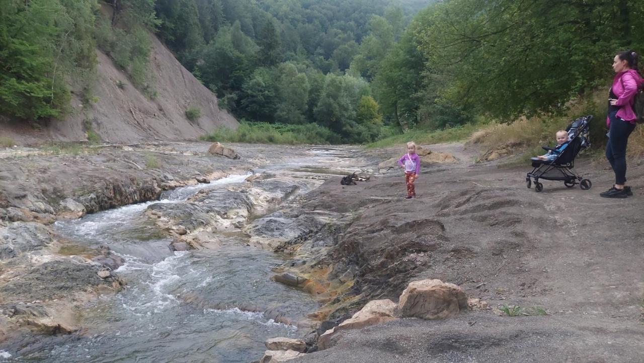 Садиба Федорчуків Гірська Хатина Şeşorî Exterior foto